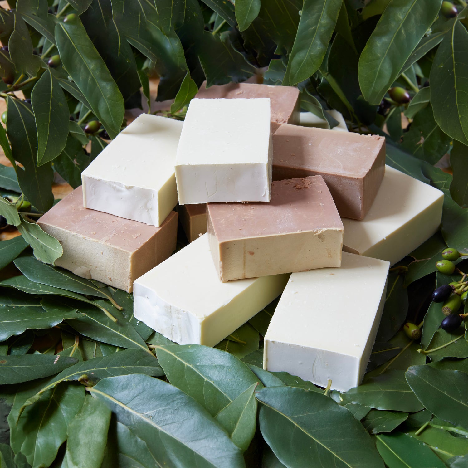 Saponi Biologici Officinali Viso e Corpo